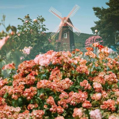 亚搏全站APP官网下载