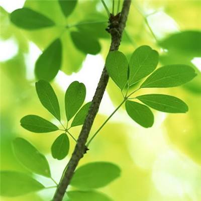 大小单双正规平台下载