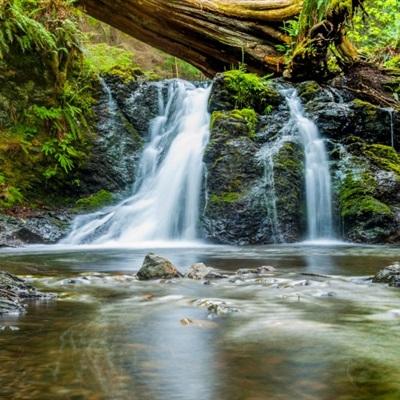 leyu乐鱼·体育app下载