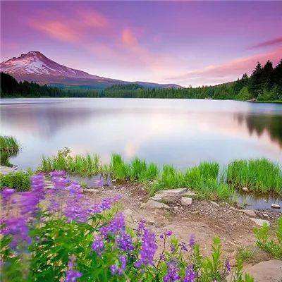 凯发游戏app下载