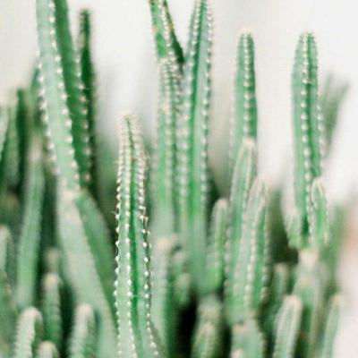 Welcome彩票中心注册大厅进入